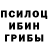 Галлюциногенные грибы Psilocybine cubensis Lubos S