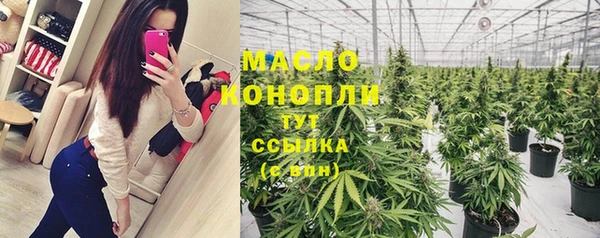 ALPHA PVP Елизово