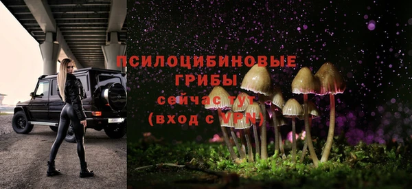 прущая мука Дмитров