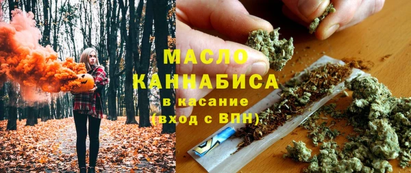 мет Ельня