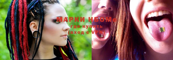 мет Ельня